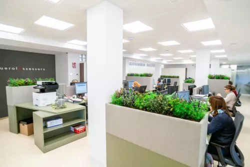 Planta de oficinas de Querol Assessors en Morella